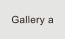 Gallery a